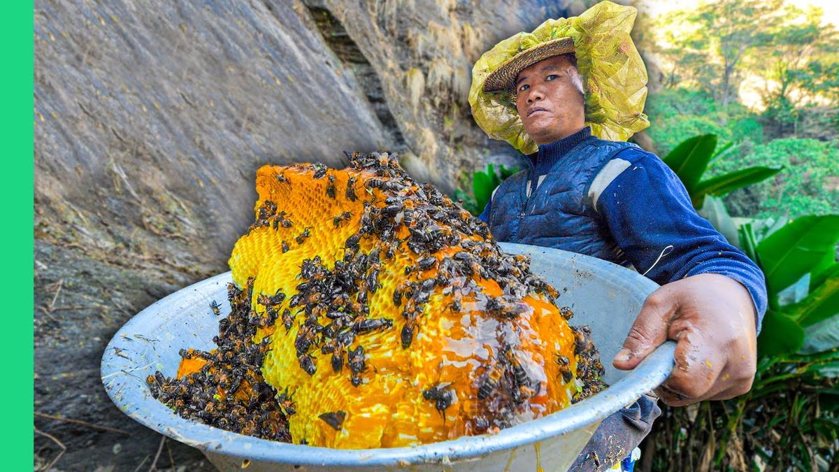 The Sweet Madness: A Dive into Nepal's Mad Honey