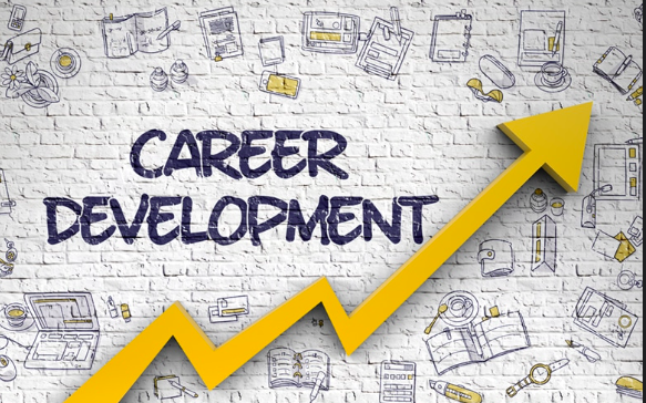 Career development and job hunting advice