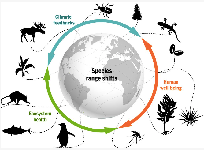 The Impact of Climate Change on Biodiversity: Exploring the Fragile Ecosystems of our Planet