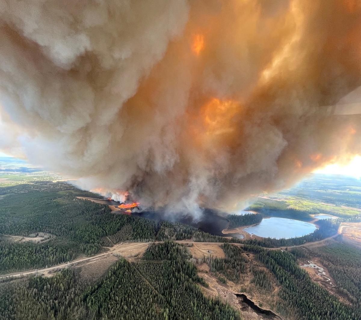 Understanding the Causes and Consequences of Canada's Wildfires: A Wake-Up Call for Climate Action