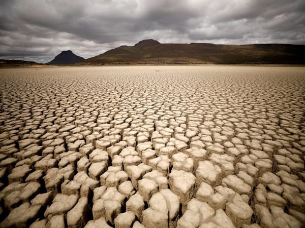 How Droughts Threaten Our Future and What You Can Do to Survive!
